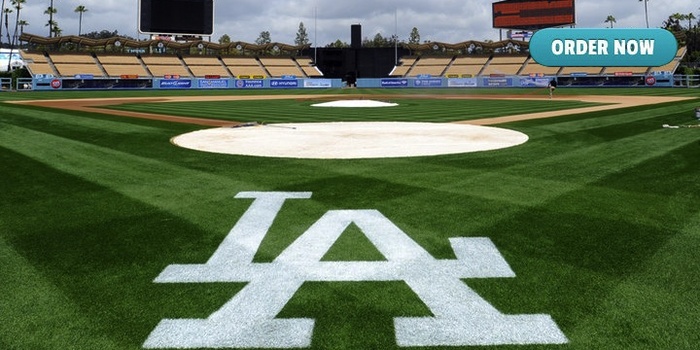 Los Angeles Dodgers Sod
