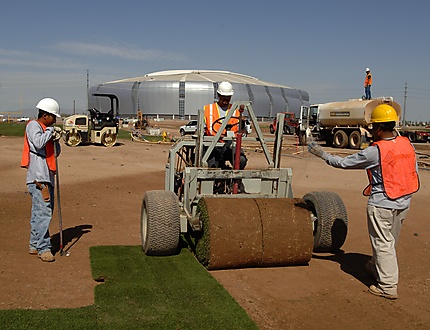 Arizona Sod Installation