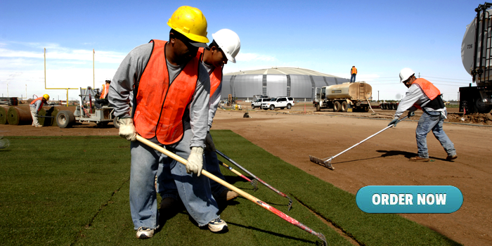 Univ of PHX Sod Installation