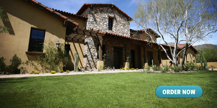 Arizona Home Sod Installation