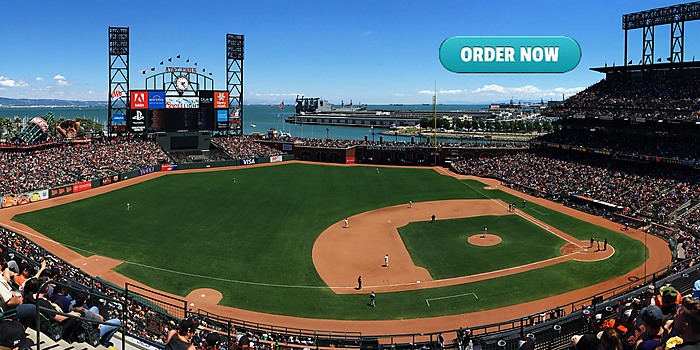 AT&T Park West Coast Turf Fescue