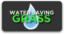 Water Saving Grasses and Groundcovers