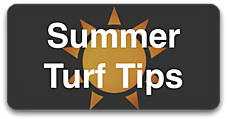 Summer Turf Tips Button