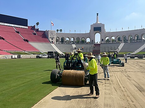 Coliseum Install