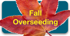 Fall Overseeding