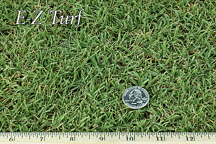 West Coast Turf E-Z Turf® Sample