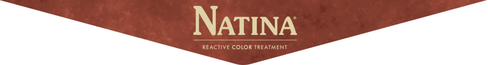 Natina triangle logo