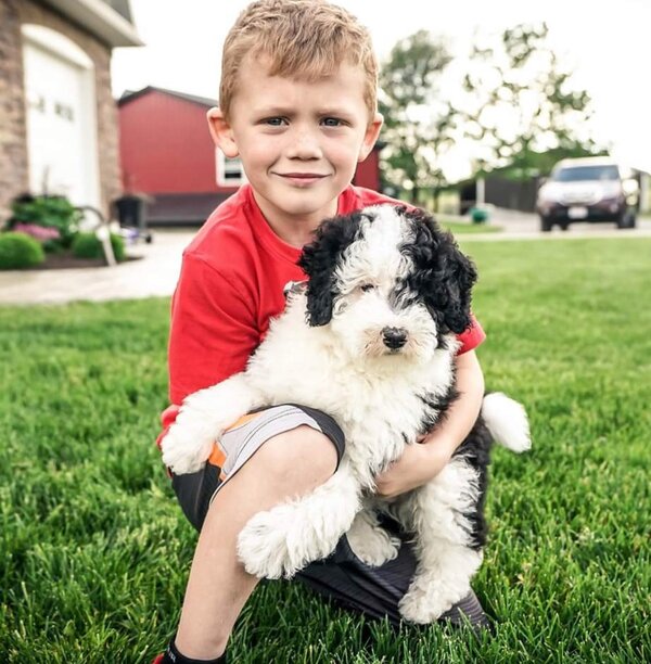 PUPPY_a