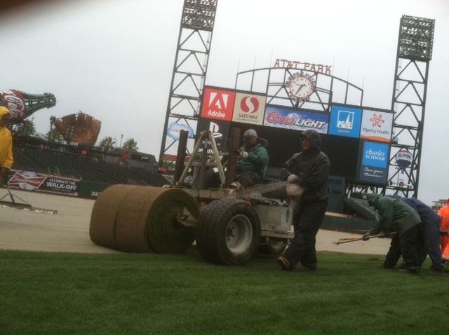 Bandera Bermuda at AT&T Park in San Francisco