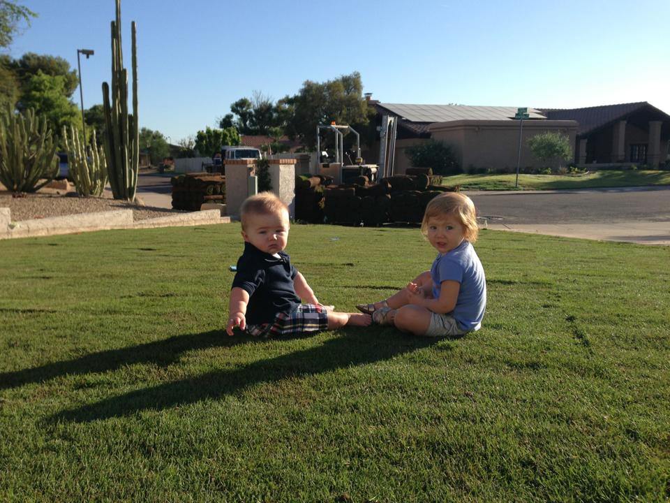 West Coast Turf Tucson BOB Sod Lawn