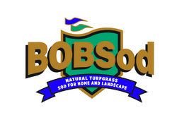 bsodlogojpg